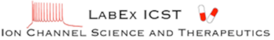Labex ICST