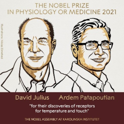 2021 Nobel Prize